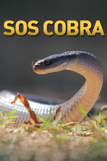 Poster de Série SOS Cobra (2016)
