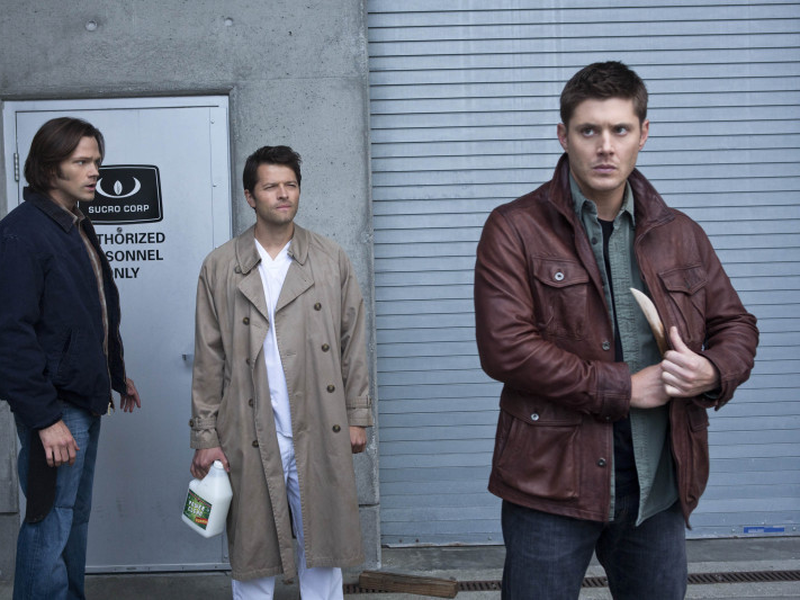 Foto 17 de Sobrenatural (7ª Temporada)