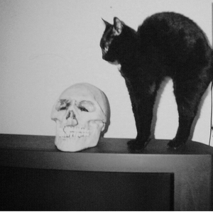 Foto de perfil de ...