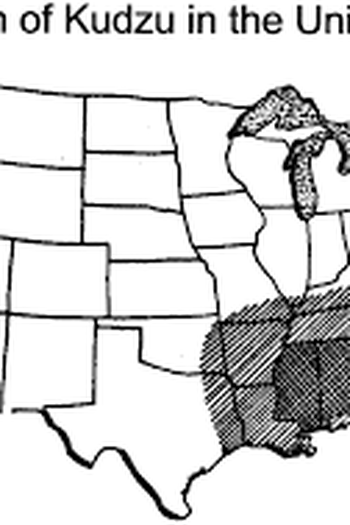  de Filme Kudzu (1977)