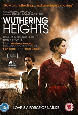 Poster 1 de Filme O Morro dos Ventos Uivantes (2011)
