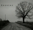 Alice in Chains - Rooster