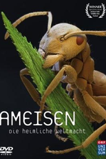 Formigas: O Poder Secreto da Natureza (Ameisen - Die heimliche Weltmacht )