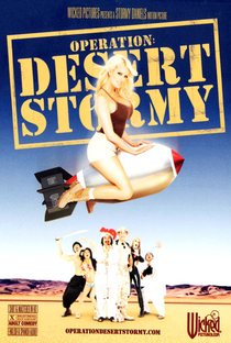 Operation: Desert Stormy - Poster / Capa / Cartaz - Oficial 1