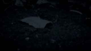 Trailer: Opstandelsen Trailer (english subtitles)