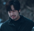 진실들