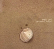 Shell Life