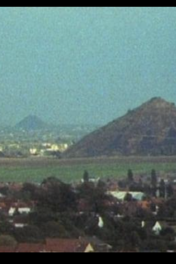 Poster de Curta CABALE DES OURSINS (1991)