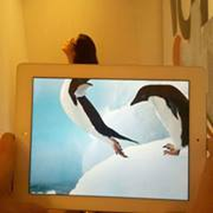 Foto de perfil de Júlia