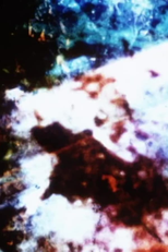 Quiet Chaos of Desire (Quiet Chaos of Desire)