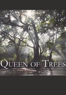 The Queen of Trees