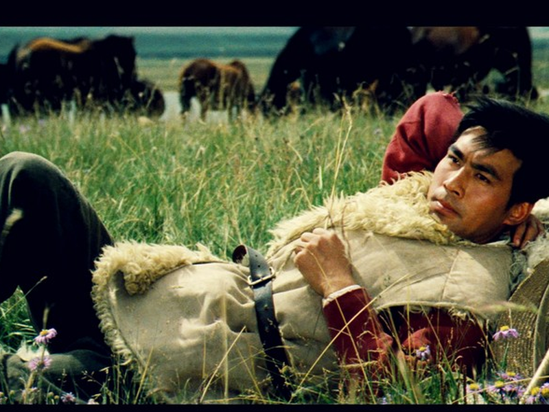 Foto 4 de The Herdsman