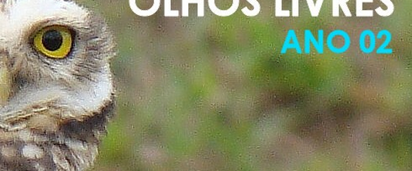 OLHOS LIVRES ANO 02 -  Blog por Carlos Reichenbach