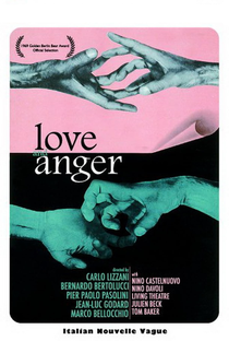 Amor e Raiva - Poster / Capa / Cartaz - Oficial 3