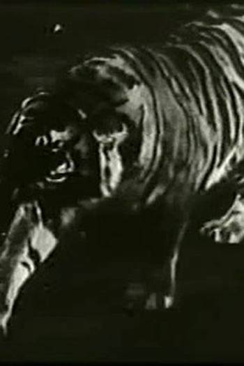 Poster de Episódio Panic in the Zoo (1940)