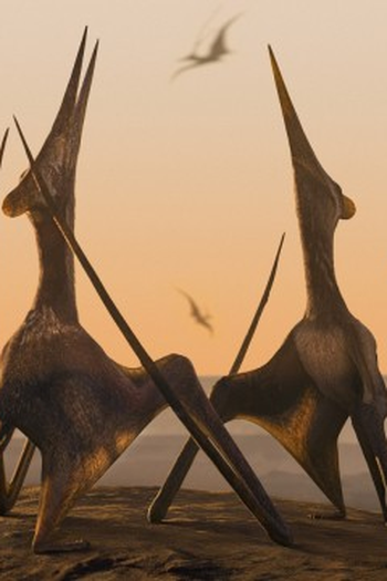 Poster de Episódio Deserts (2022)