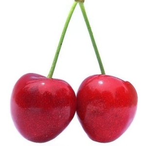 Foto de perfil de Iara Napoli Mendonça