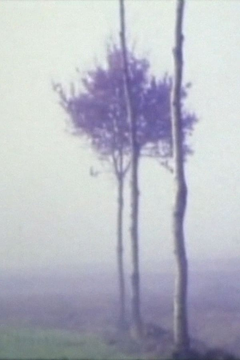  de Curta À l’instant (2008)