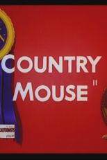 Rato do Campo (Country Mouse)