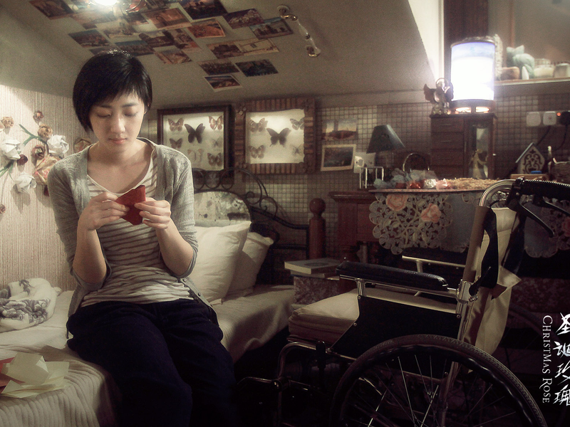 Foto 2 de Christmas Rose