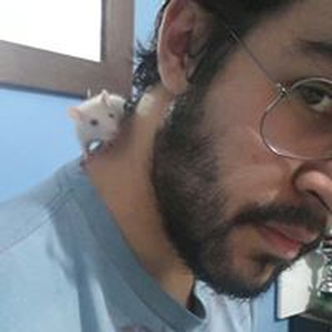 Foto de perfil de Everton