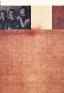 The Animals in Concert (The Animals in Concert)