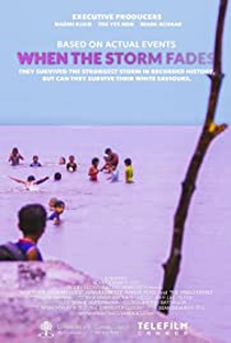 Quando a tempestade enfraquece - Poster / Capa / Cartaz - Oficial 1