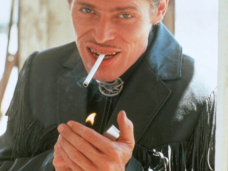 Foto 24 de Coração Selvagem