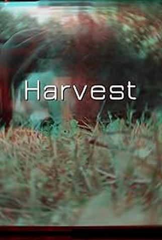 Poster 1 de Curta Harvest (2024)