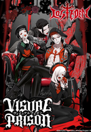 Visual Prison