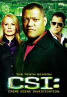 CSI: Investigação Criminal (10ª Temporada) (CSI: Crime Scene Investigation (Season 10))