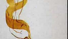 Triangle - dance animation