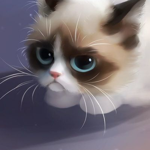 Foto de perfil de Fran