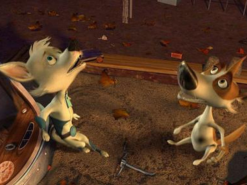 Foto 14 de Cãestronautas