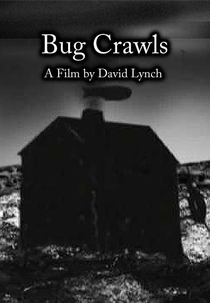 Bug Crawls (Bug Crawls)