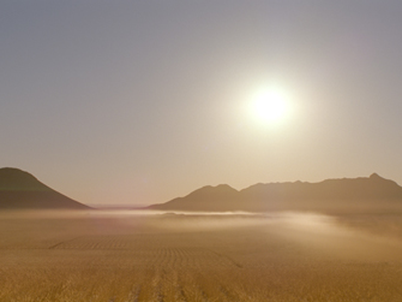 Foto 2 de Os Mais Jovens