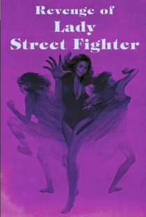 Revenge of Lady Street Fighter - Poster / Capa / Cartaz - Oficial 1