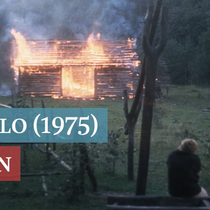 Foto de perfil de Marco