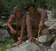 The Landlords