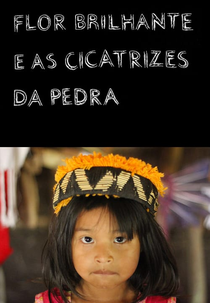 Flor Brilhante e as Cicatrizes da Pedra (Flor Brilhante e as Cicatrizes da Pedra)