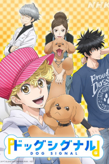  de Série Dog Signal (2023)