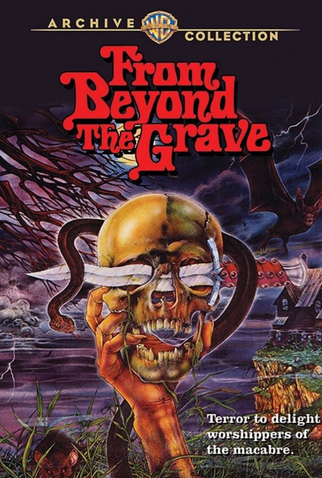 Poster 7 de Filme Vozes do Além (1974)