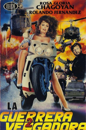 Poster de Filme La Guerrera Vengadora 2 (1991)