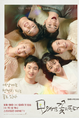 Poster 3 de Série Flores no Deserto (2023)