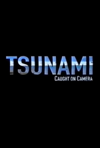 Poster 1 de Filme Tsunami Caught on Camera (2009)