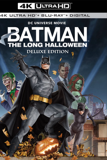 Batman e o Longo Dia das Bruxas: Edição Definitiva - Poster / Capa / Cartaz - Oficial 5