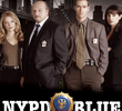 Nova York Contra o Crime (10ª Temporada) 
