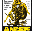 Angels Hard as They Come