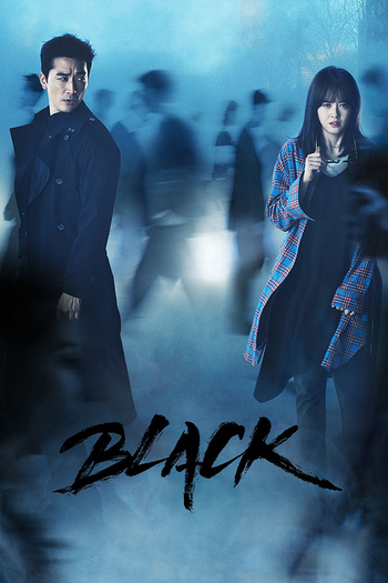 Poster de Franquia 블랙 (2017)