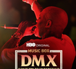 DMX: Don't Try to Understand